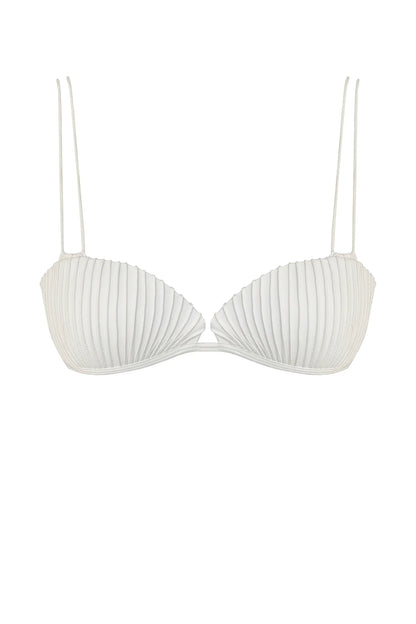 The Shell Iconic Set | Caprié